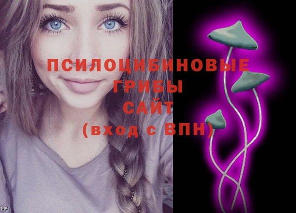 эйфоретик Абинск
