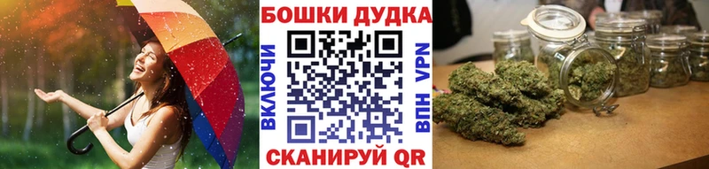 Бошки Шишки Amnesia  что такое   блэк спрут tor  Зуевка 